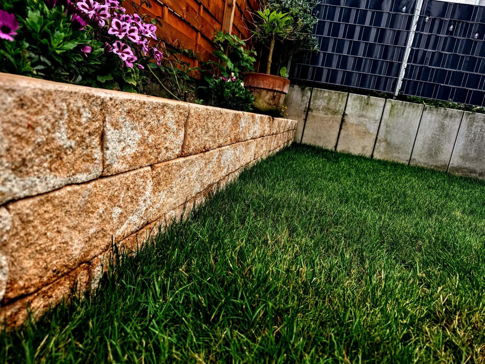 Grünfix Gartenservice Projekt 11 – Gartenpflege im Ortenaukreis